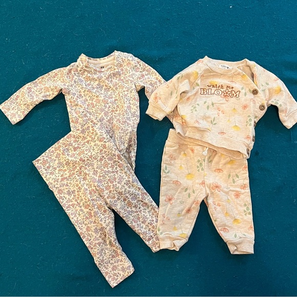 H&M Other - Baby girl 3 month floral outfits, Carters and Rabbit Ears